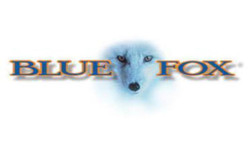 Blue Fox